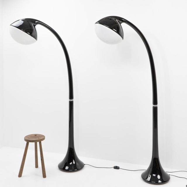 Lampione Floor Lamps by Fabio Lenci for Iguzzini, 1960s, Set of 2 For Sale - Image 6 of 18