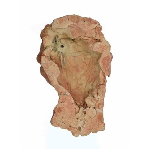 Sirio Pellegrini, Portrait Sculpture, 1960s, Terracotta For Sale - Image 3 of 5
