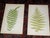 This set of twelve (12) authentic 19th century engravings on wood (sometimes referred to as "lithographs") depict...