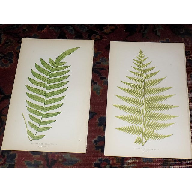 This set of twelve (12) authentic 19th century engravings on wood (sometimes referred to as "lithographs") depict...