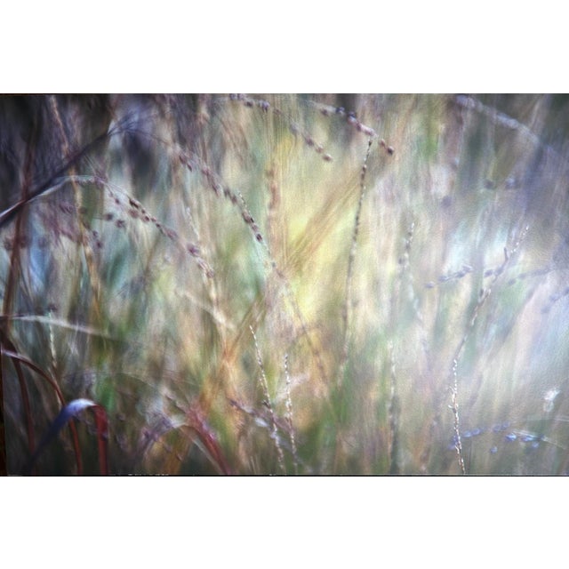 Captivating, large-scale contemporary abstract color field photograph titled "Never Silent, The Wind #9" (2017) by...