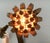 Metal Mid-Century Italian Metal Sunflower Wall Lamp, 1960s For Sale - Image 7 of 18