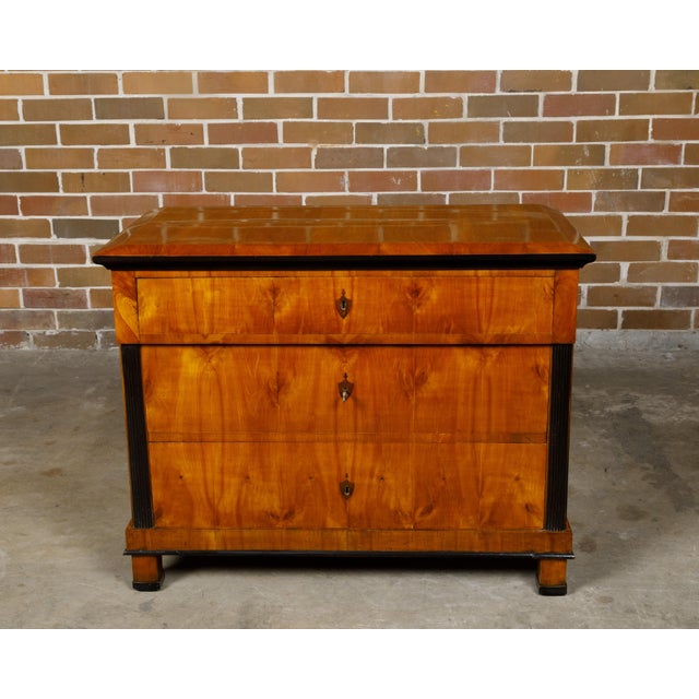 Biedermeier Period 19th Century Walnut Butler's Chest with Drop Front Desk For Sale - Image 4 of 11