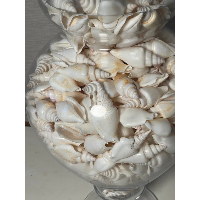 Vintage Large Glass Jars With Sea Shells For Sale In Miami - Image 6 of 12