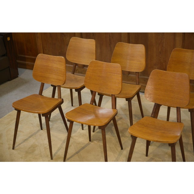 Vintage Chairs in Oak, 1960s, Set of 6 For Sale - Image 4 of 13