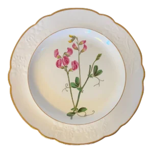 Antique Early 19th Century Spode Porcelain Botanical Plate Decorated With Hand Painted Named Specimen - Pease Earth-Nut