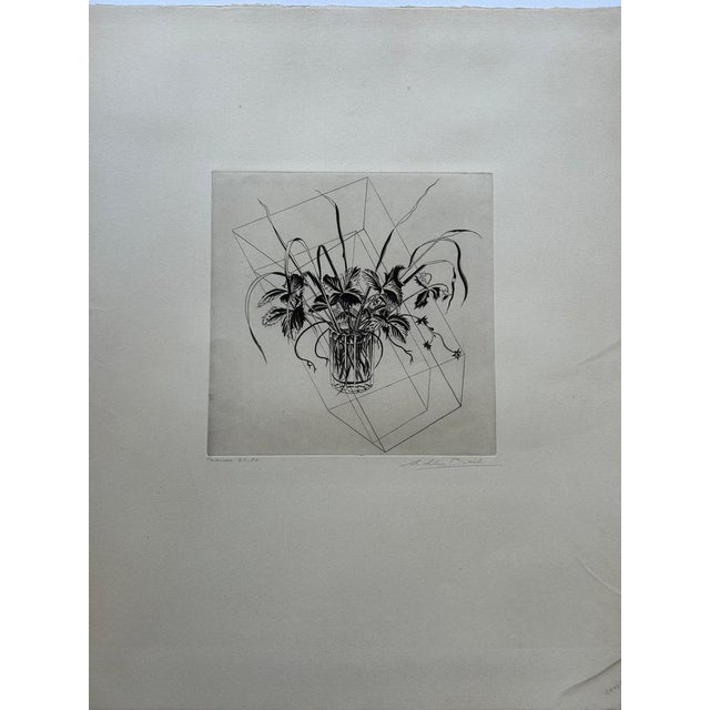 Michel Beret (1914 - 1966) Strawberry plants Original engraving, signed and titled Numbered 21-60 Dimensions of the sheet...
