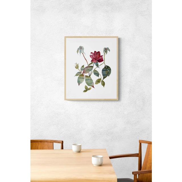 Original watercolor painting on 140 lb cold press paper Artist: Elizabeth Becker Year: 2023 Image and Paper Size: 16" x...