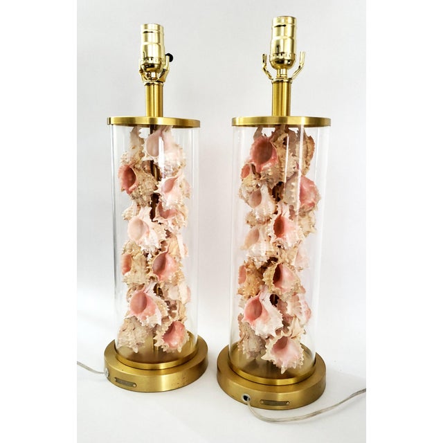 Lamps Signed Ralph Lauren Pair Shells Seashells Added For Sale - Image 15 of 18