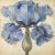American Blue Iris No. 2 – Antique Botanical Fine Art Print For Sale - Image 3 of 3