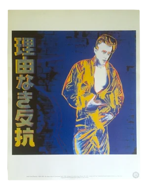 Andy Warhol Estate Vintage 1990 Collector's Lithograph Print " Rebel Without a Cause - James Dean " 1985