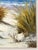 Serene Beach Dune Grasses Scene – Oil Painting on Canvas by Eric Son For Sale - Image 4 of 4