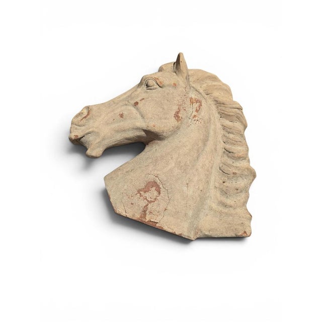 Greek Horse Head Sculpture in Terracotta, Italy, 1950 For Sale - Image 3 of 7