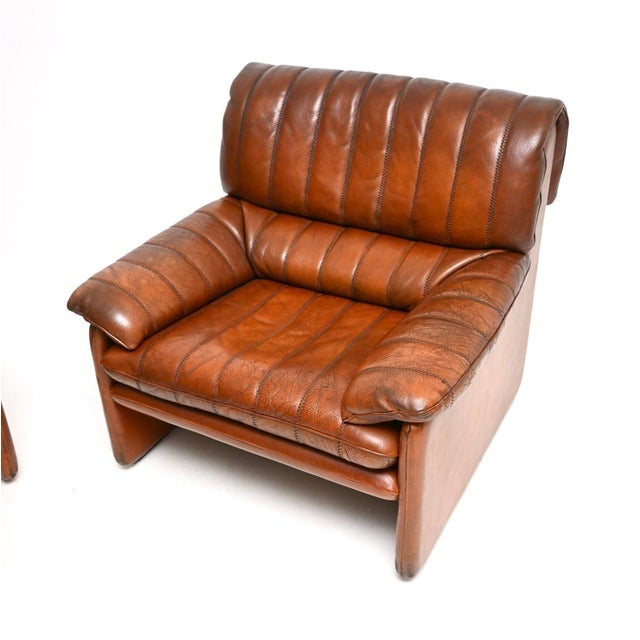 Animal Skin Vintage DS 86 Chairs in Leather from De Sede, 1960, Set of 2 For Sale - Image 7 of 11
