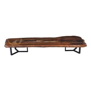 Epoxy Coated Petrified Wood Coffee Table by Xyleia Petrified Wood For Sale