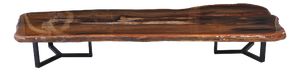 Epoxy Coated Petrified Wood Coffee Table by Xyleia Petrified Wood