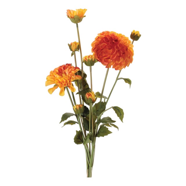 Zinnia Flower Bundle (Set of 2) For Sale
