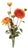 Zinnia Flower Bundle (Set of 2) For Sale