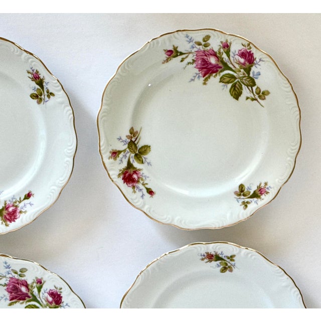 White Mid 40th Century Royal Sealy “Pompadour Rose” Plates – 7½” - Set of 10 For Sale - Image 8 of 10
