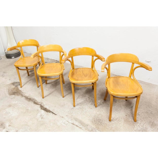 Wood Vintage Bistro Armchairs, 1960s, Set of 4 For Sale - Image 7 of 18