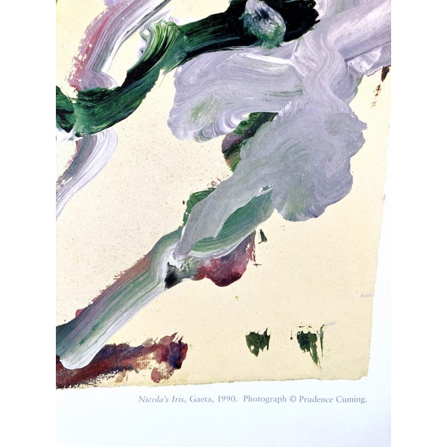 Cy Twombly Original 2002 Royal Botanic Garden Edinburgh Exhibition Poster For Sale - Image 4 of 13