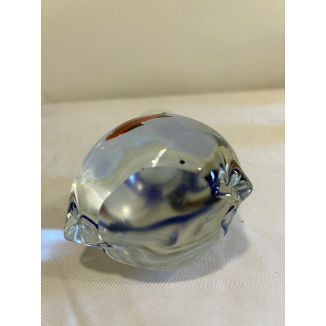 Hand Blown Murano Style Art Glass Fish in a Bag For Sale - Image 9 of 11
