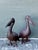 This charming pair of vintage wrought iron pelican statues is a masterful celebration of coastal artistry and rustic mid-...