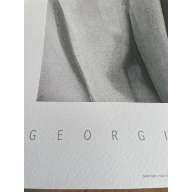 Georgia O’Keeffe (1887-1986), Dark Iris I, 1927, Copyright 1999- G.O’Keeffe/SOFAM Belgique Editions Pierre D’ Harville, Printed in Italy For Sale - Image 6 of 9