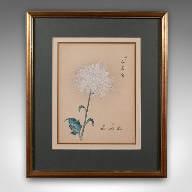 3 Vintage Botanical Pictures, Japanese, Woodblock Print, After Hasegawa, Art For Sale - Image 4 of 12