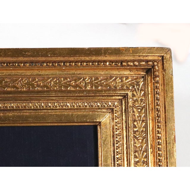 Paint Circle of Georg Dionysius Ehret Iris Watercolor, Mid-18th Century For Sale - Image 7 of 11