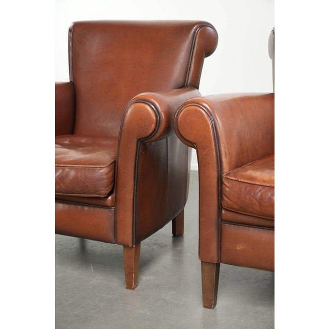 Club Chairs in Sheepskin Leather, Set of 2 For Sale - Image 10 of 16