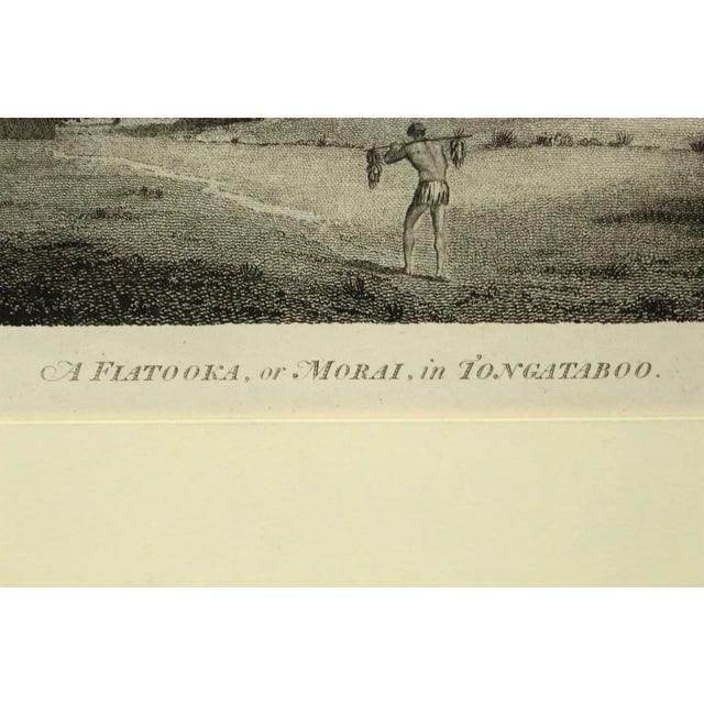 Paper 1784 James Cook & J. Webber Original Engraving For Sale - Image 7 of 12