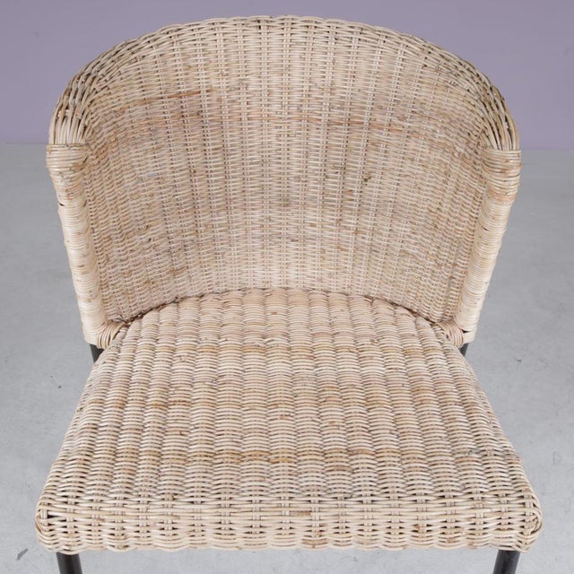 Dining Chairs, Netherlands, 1950s, Set of 4 For Sale - Image 5 of 11