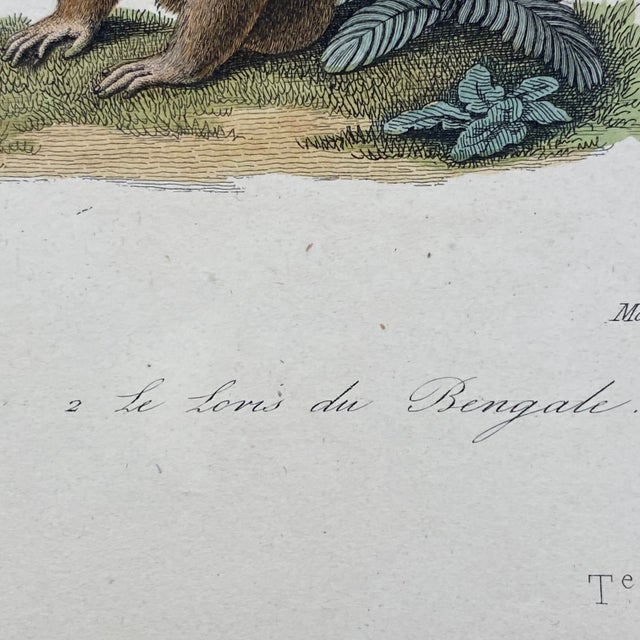 French Antique 18th Century Animal Engraving Hand Colored Signed Artwork For Sale In Portland, ME - Image 6 of 8
