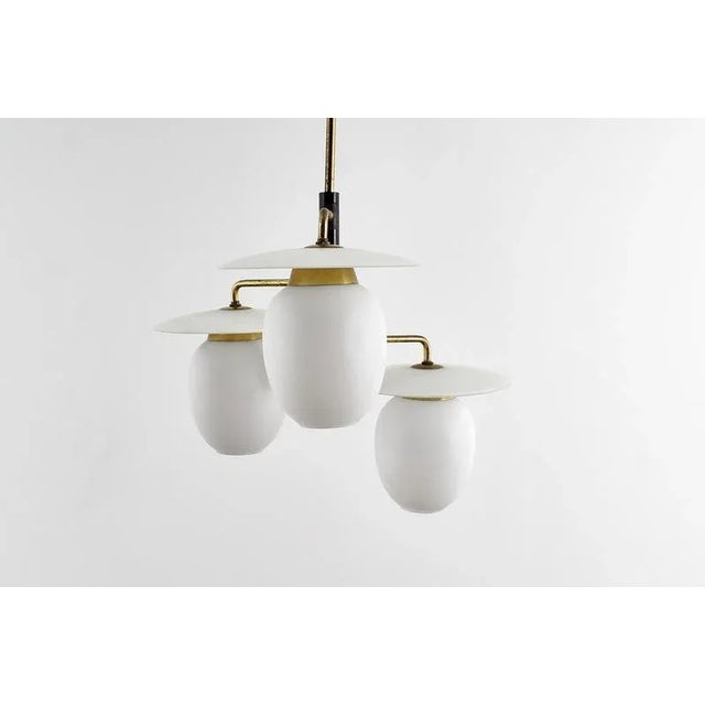 Mid-Century Modern Brass and Curved Glass Hanging Light, 1950s For Sale - Image 10 of 18