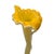 Yellow Murano Glass Flower Vase, Italy, 1960s For Sale - Image 4 of 8