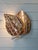 French sculptural wall sconce with two leaves in solid brass, handcrafted and welded, circa 1970. In the style of Maison...
