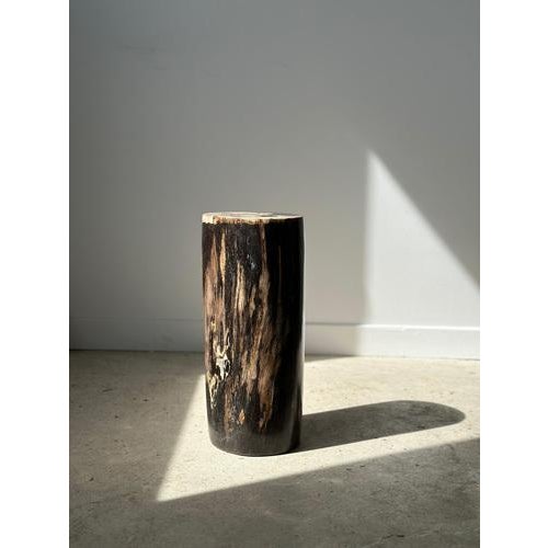 Side Table in Multicolored Petrified Wood with White Top For Sale - Image 16 of 18