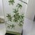 Pair of Vintage Green Apple Blossom Chinese Lamps For Sale - Image 10 of 12
