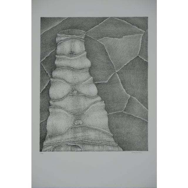Gochka Charewicz, La tour, Lithograph For Sale