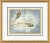 Traditional Pisces Framed Art Print by David Phoenix For Sale - Image 3 of 3