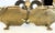 Brass Antique Italian Brass Student Oil Lamp Converted to Electric With Adjustable Height Shades For Sale - Image 8 of 13