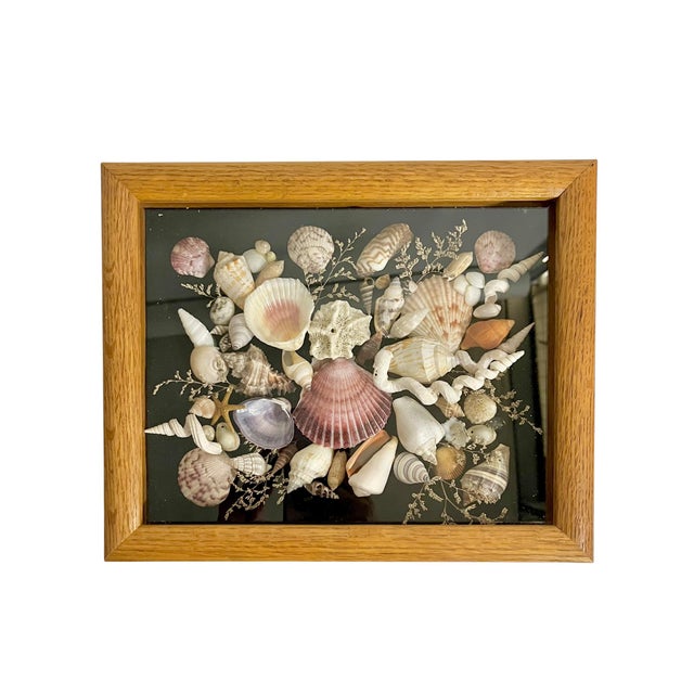 Wood Vintage Wood Framed Seashell Shadow Box Folk Art Wall Sculpture For Sale - Image 7 of 12