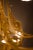 2000 - 2009 Art Nouveau Brass Chandelier with Glass Shades For Sale - Image 5 of 6