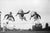 Tennis Leap 22nd August 1932: Three young competitors leaping over the boundary between two tennis courts at the Essex...