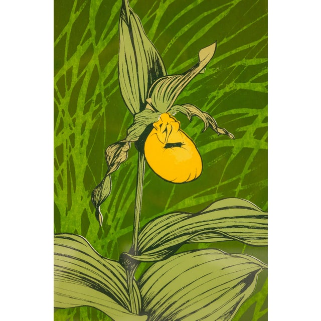 Mid-Century Modern Boho Chic 18/65 Framed & Signed Lithograph Print of a Lady's Slipper Orchid by John Cook, Usa, C. 1960s For Sale - Image 16 of 16