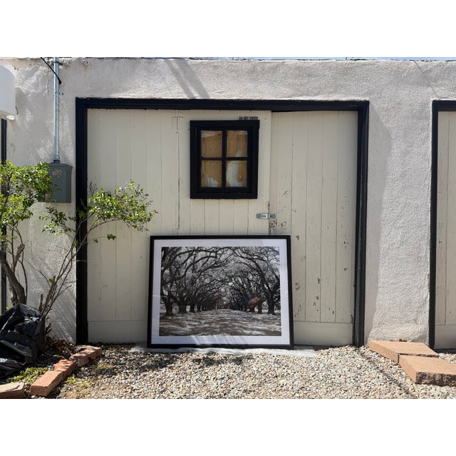 Restoration Hardware Contemporary Restoration Hardware “Oak Plantation” Framed Art – 38.5” X 50” For Sale - Image 4 of 4