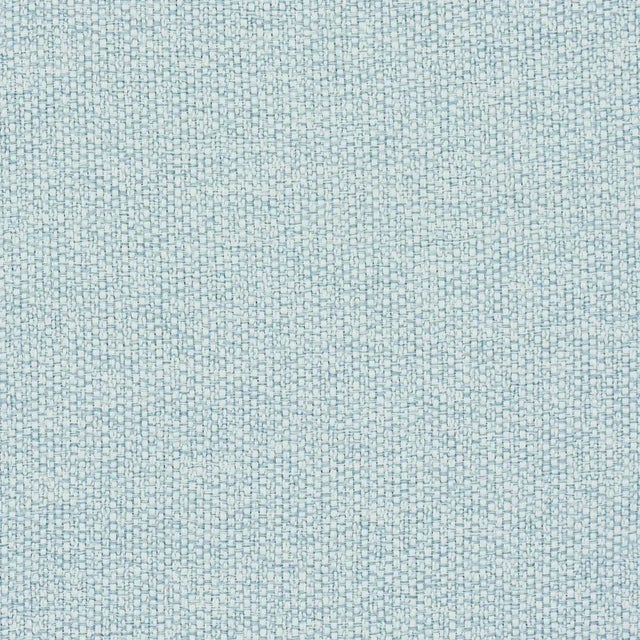 Contemporary SAMPLE - Schumacher Gus Indoor/Outdoor Fabric In Sky For Sale - Image 3 of 3