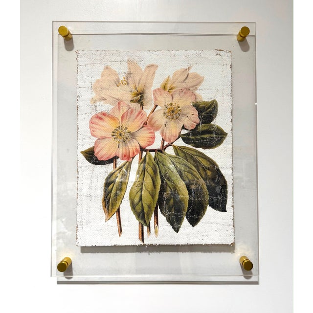 Cream Pink and Cream Flowers - Hand Textured Pink Flowers For Sale - Image 8 of 10