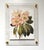 Cream Pink and Cream Flowers - Hand Textured Pink Flowers For Sale - Image 8 of 10